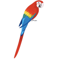 scarlet macaw